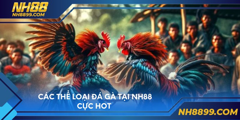 Các thể loại đá gà tại NH88 cực hot
